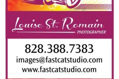 Fastcats-Ad-2.45x3.95-01