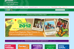 GS-Web-Ad