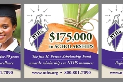 NTHS-Flash-Ads_3