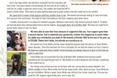 BWAR-Nov-2019-Appeal-Letter