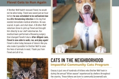 BWAR_Fall-2019-Newsletter_spreads