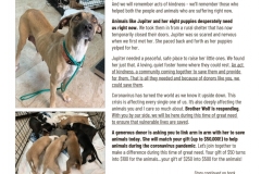 BWAR_Spring-2020-Appeal-Letter